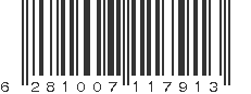 EAN 6281007117913