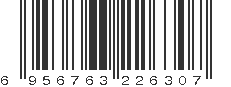 EAN 6956763226307